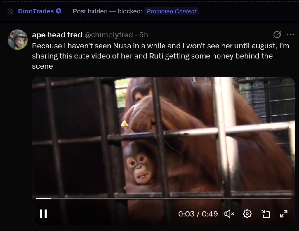 X — add hidden phrase in Focus Filter